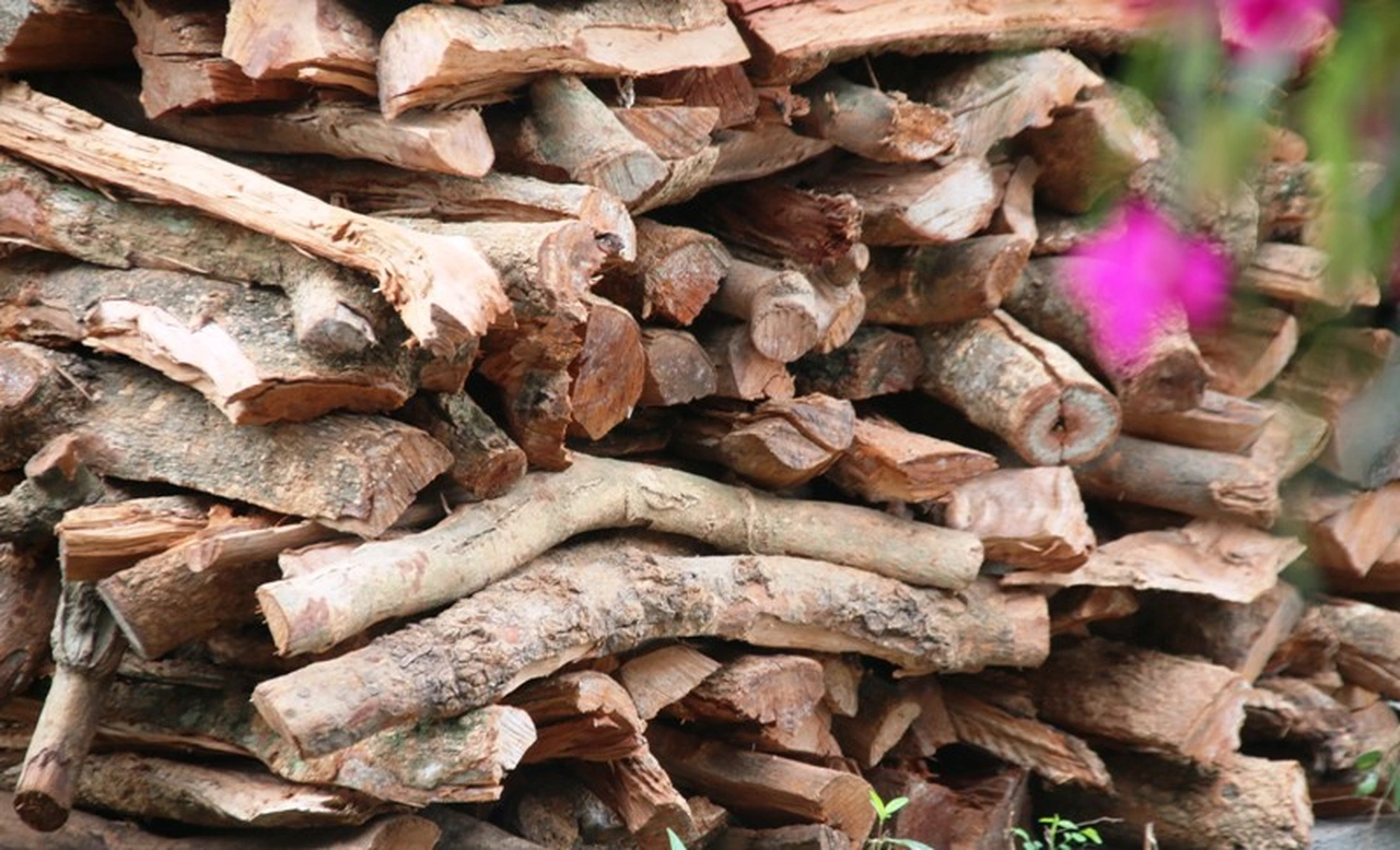 Củi nấu cá kho Đại Hoàng bắt buộc là củi nhãn